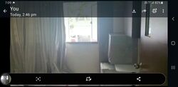 Blk 111 Tiong Bahru Orchid (Bukit Merah), HDB 3 Rooms #619586321
